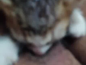 Thumb 7