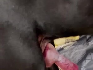 Thumb 6