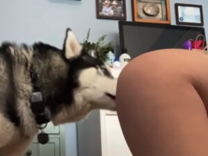 Thumb 6