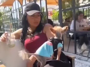 Dog wishes