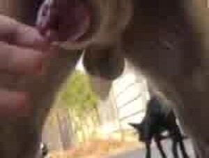 Thumb 8