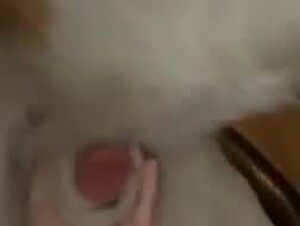 Thumb 6