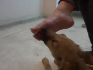 Thumb 4