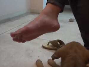 Thumb 8