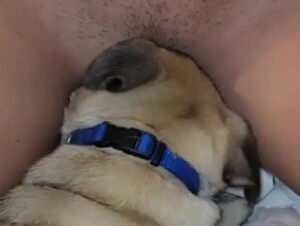 Thumb 6