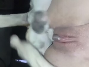 Thumb 6