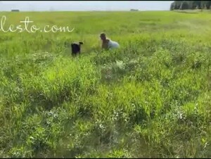Veronica-Silesto-–-Forest-Party-The-Hottest-Dogsex-Movies-Collection.mp4 (187.3 mb)