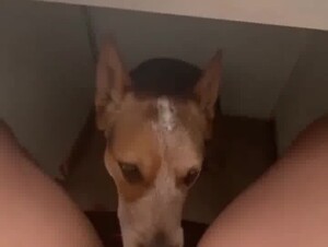 Under table
