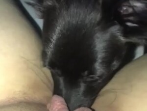 Thumb 6