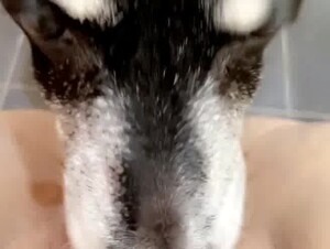 Thumb 6