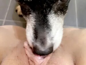 Thumb 8