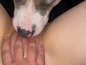 Thumb 10
