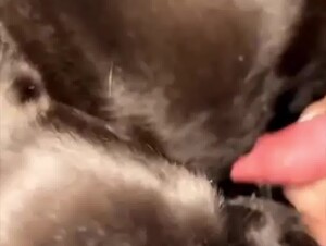 Thumb 9