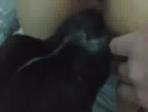 Thumb 7