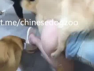 Thumb 10