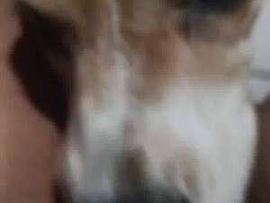 Thumb 10