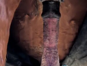 Thumb 10