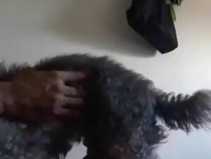 Thumb 6