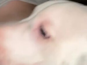 Thumb 7