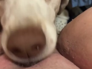 Thumb 6