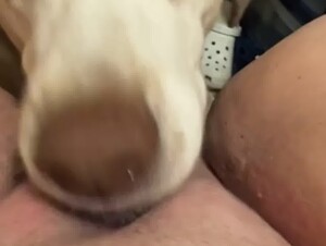 Thumb 7