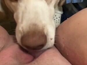 Thumb 8