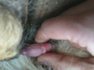 Thumb 6
