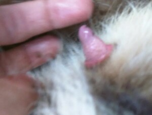 Thumb 9
