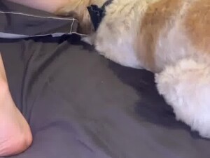 Thumb 10