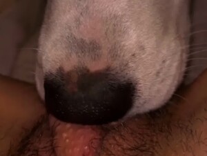 Thumb 7