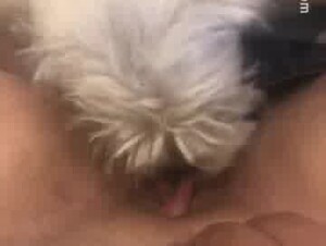 Lick & knibble