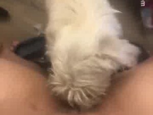 Thumb 9