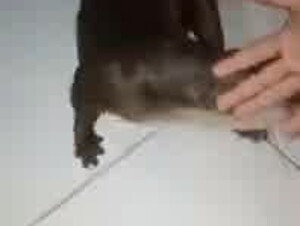 Thumb 8