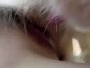 Thumb 7
