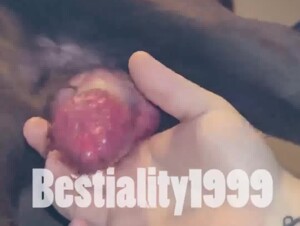 Thumb 8
