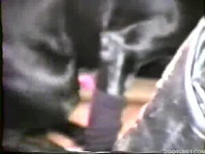 Vintage Wife's Orgy