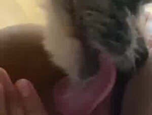 Thumb 7