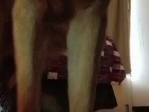 19 mounted