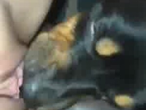 Thumb 6