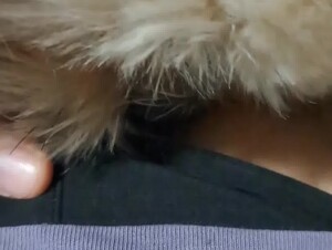 Thumb 6