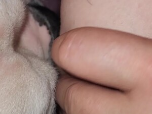 Thumb 8