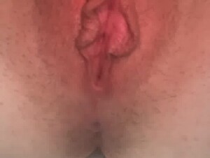 Centipede vs pussy