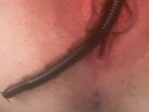 Thumb 6