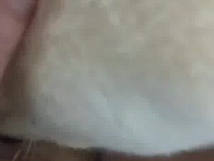 Thumb 7