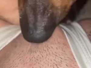 Thumb 6