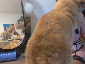 Girl Russia sex dog in live