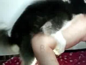 Thumb 3
