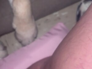 Thumb 3