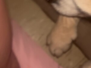 Thumb 6