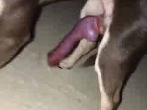 Thumb 6
